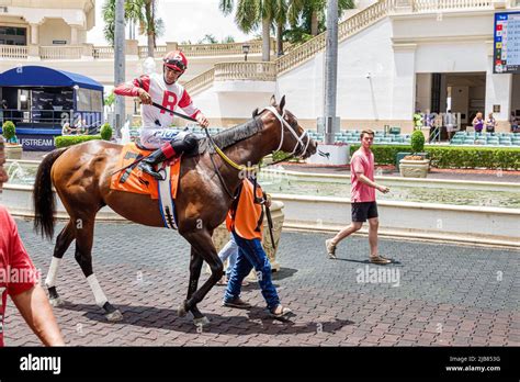 gulfstream races today|Thoroughbred Horse Racing & Casino in Hallandale, Florida.